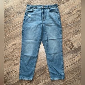 AE Curvy Mom Jeans